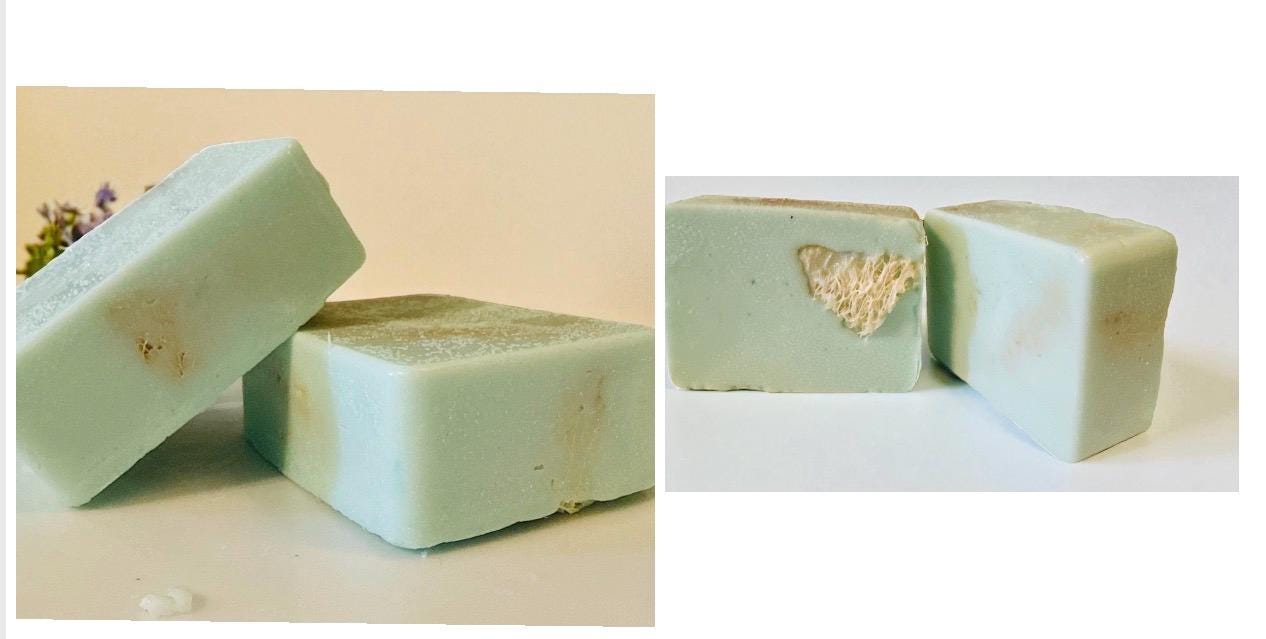 Goat Milk Soap | Loofah or Smooth Bar | Multiple Scents & Colors
