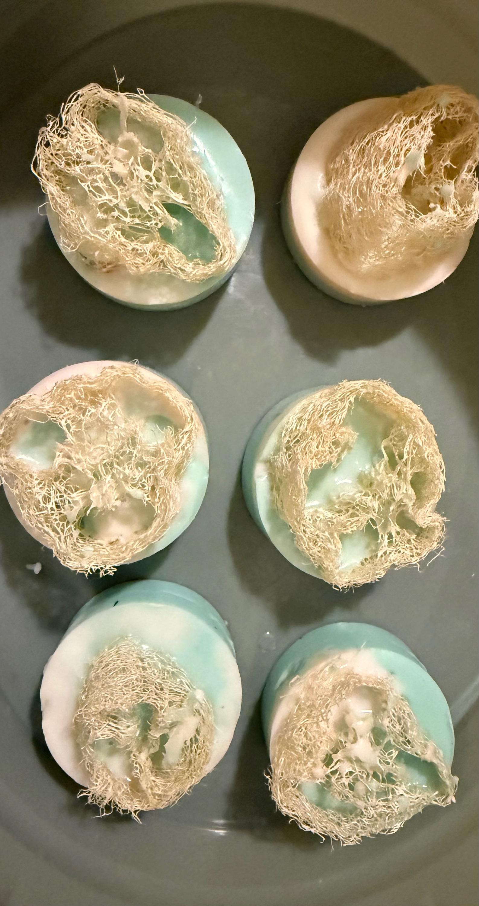 Mini Goat Milk and Loofah Soap "Mini Round Bars"